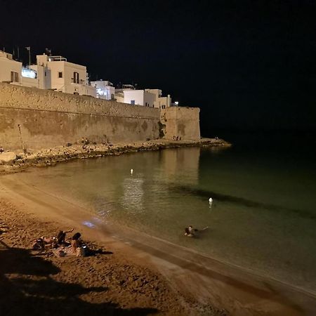 Appartamento Palazzo Antonelli モノーポリ エクステリア 写真
