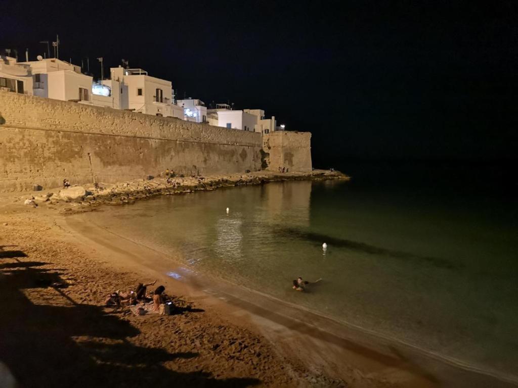 Appartamento Palazzo Antonelli モノーポリ エクステリア 写真